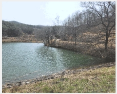  2025Ÿ15592 泲 ȫ  ǳ 26-34      (Ӿ)