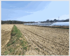  2025Ÿ15592 泲 ȫ  ǳ 26-34      (Ӿ)