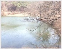  2025Ÿ15592 泲 ȫ  ǳ 26-34      (Ӿ)