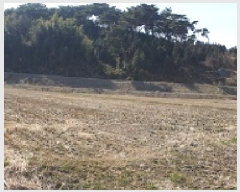  2025Ÿ15592 泲 ȫ  ǳ 26-34      (Ӿ)