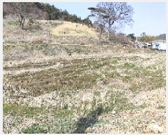  2025Ÿ15597 泲 ɽ õϸ  757      ()