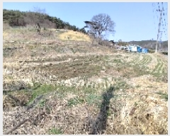  2025Ÿ15597 泲 ɽ õϸ  757      ()