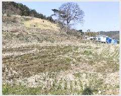  2025Ÿ15597 泲 ɽ õϸ  757      ()