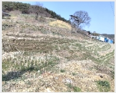  2025Ÿ15597 泲 ɽ õϸ  757      ()