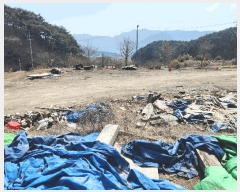  2025Ÿ15598 泲 ɽ û  251      (1)