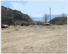  2025Ÿ15598 泲 ɽ û  251      (1)