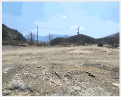  2025Ÿ15598 泲 ɽ û  251      (1)