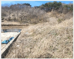  2025Ÿ15598 泲 ɽ û  251      (1)