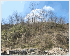  2025Ÿ15598 泲 ɽ û  251      (1)