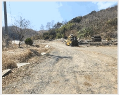  2025Ÿ15598 泲 ɽ û  251      (1)