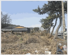  2025Ÿ15616 泲 걺  ŷʿ 179-6      (1)