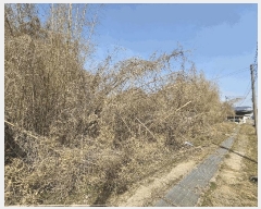  2025Ÿ15616 泲 걺  ŷʿ 179-6      (1)