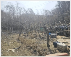  2025Ÿ15616 泲 걺  ŷʿ 179-6      (1)