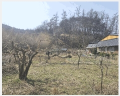  2025Ÿ15616 泲 걺  ŷʿ 179-6      (1)