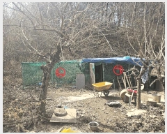  2025Ÿ15616 泲 걺  ŷʿ 179-6      (1)