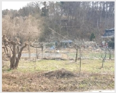  2025Ÿ15616 泲 걺  ŷʿ 179-6      (1)