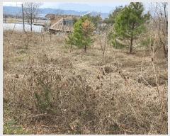  2025Ÿ��15624 �泲 ȫ���� �ݸ��� ȭ�縮 132-4      ����(��1)���