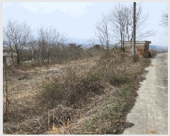  2025Ÿ��15624 �泲 ȫ���� �ݸ��� ȭ�縮 132-4      ����(��1)���