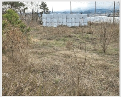  2025Ÿ��15624 �泲 ȫ���� �ݸ��� ȭ�縮 132-4      ����(��1)���