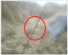  2025Ÿ15632 泲 걺   306      (1)