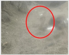  2025Ÿ15632 泲 걺   306      (1)