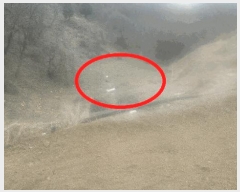  2025Ÿ15632 泲 걺   306      (1)