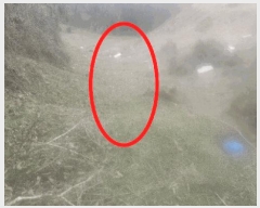  2025Ÿ15632 泲 걺   306      (1)