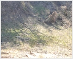  2025Ÿ15632 泲 걺   306      (1)