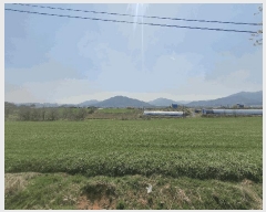  2025Ÿ15638 泲 걺  ۻ긮 80-10      ()