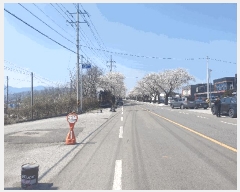  2025Ÿ15638 泲 걺  ۻ긮 80-10      ()