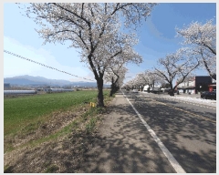  2025Ÿ15638 泲 걺  ۻ긮 80-10      ()