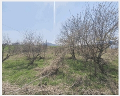  2025Ÿ15638 泲 걺  ۻ긮 80-10      ()