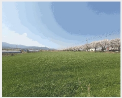  2025Ÿ15638 泲 걺  ۻ긮 80-10      ()