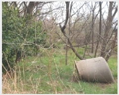  2025Ÿ15638 泲 걺  ۻ긮 80-10      ()