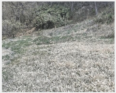  2025Ÿ15642 泲 õ  帮 15-1      (Ӿ)