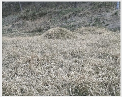  2025Ÿ15642 泲 õ  帮 15-1      (Ӿ)