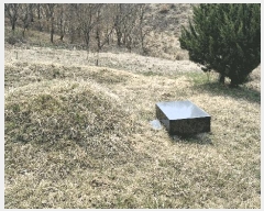  2025Ÿ15642 泲 õ  帮 15-1      (Ӿ)