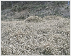  2025Ÿ15642 泲 õ  帮 15-1      (Ӿ)