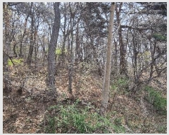  2025Ÿ��15654 �泲 ȫ���� ȫ���� ���� ��57-2      ����(�Ӿ�)���