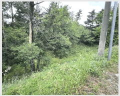  2025Ÿ��15665 �泲 ���ɽ� ��õ�� ��5-12       ����(�Ӿ�)���