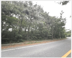  2025Ÿ��15665 �泲 ���ɽ� ��õ�� ��5-12       ����(�Ӿ�)���