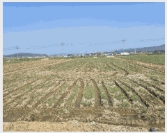  2025Ÿ��15674 �泲 ���ɽ� ������ ���︮ 276-1      ����(��)���