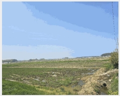  2025Ÿ��15674 �泲 ���ɽ� ������ ���︮ 276-1      ����(��)���