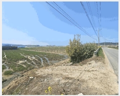  2025Ÿ��15674 �泲 ���ɽ� ������ ���︮ 276-1      ����(��)���