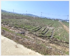  2025Ÿ��15674 �泲 ���ɽ� ������ ���︮ 276-1      ����(��)���