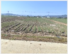  2025Ÿ��15674 �泲 ���ɽ� ������ ���︮ 276-1      ����(��)���