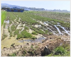  2025Ÿ��15674 �泲 ���ɽ� ������ ���︮ 276-1      ����(��)���