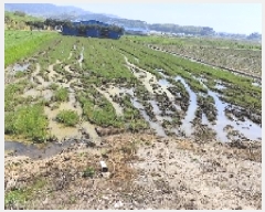  2025Ÿ��15674 �泲 ���ɽ� ������ ���︮ 276-1      ����(��)���