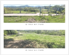  2025Ÿ��15684 �泲 ���걺 ����� �и� ��36-8      ����(�Ӿ�)���