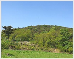  2025Ÿ��15684 �泲 ���걺 ����� �и� ��36-8      ����(�Ӿ�)���